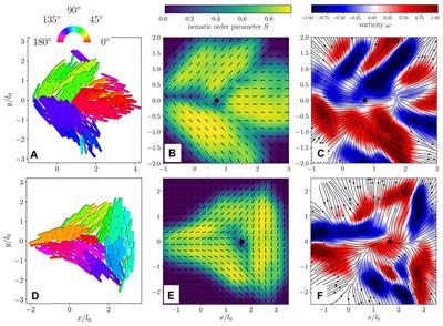 Do Active Nematic Self-Mixing Dynamics Help Growing Bacterial Colonies to Maintain Local Genetic Diversity?